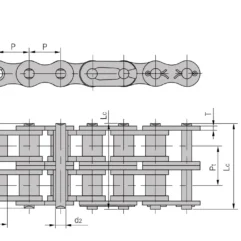 Engineering drawing of a duplex roller chain showing side and top views with dimension labels (P, h2, t, L, d1, d2). It conveys the chain's geometry and spacing for manufacturing.