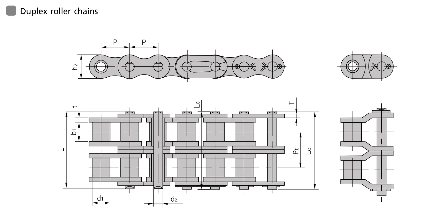 Engineering-Drawing-duplex-roller-chain | E-Shop Bearings Specialist Engineering drawing of a duplex roller chain showing side and top views with dimension labels (P, h2, t, L, d1, d2). It conveys the chain's geometry and spacing for manufacturing.