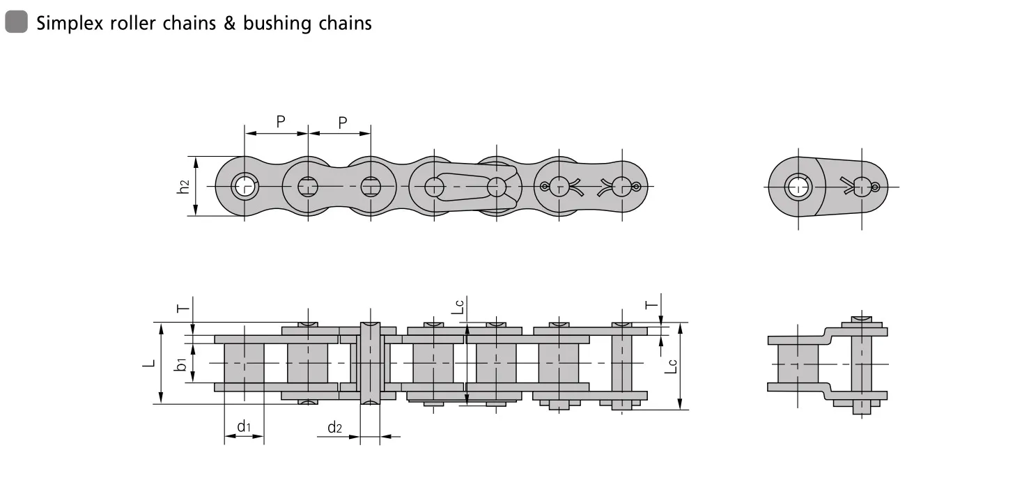 Engineering-Drawing-simplex-roller-chain-bushing-chain | E-Shop Bearings Specialist Technical drawing of a simplex roller chain with multiple views and dimension lines (P, h2, d1, d2, L, Lc)