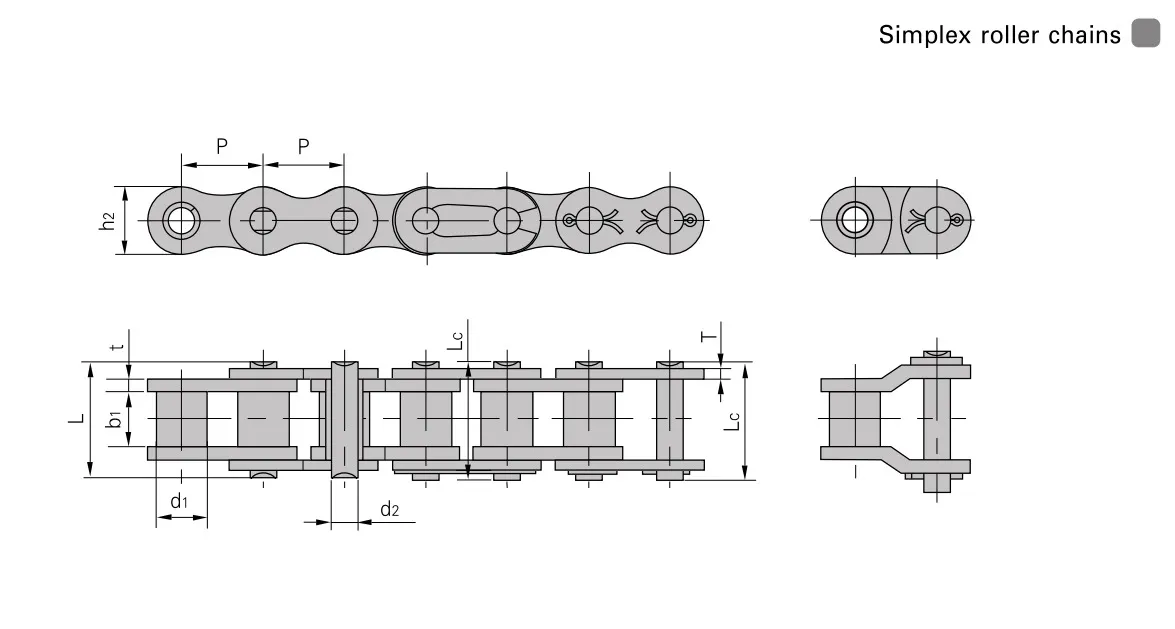 Engineering-Drawing-simplex-roller-chain | E-Shop Bearings Specialist Technical drawing of a simplex roller chain showing top, side, and end views with labeled dimensions (pitch P, length L, plate heights, and pin dimensions)