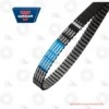Optibelt Omega Fan Power Timing Belt_By shopbearingsspecialist | E-Shop Bearings Specialist Black toothed timing belt with blue Omega Power branding and Optibelt logo, shown at an angle for automotive use.